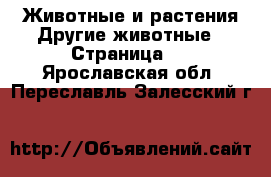 Животные и растения Другие животные - Страница 3 . Ярославская обл.,Переславль-Залесский г.